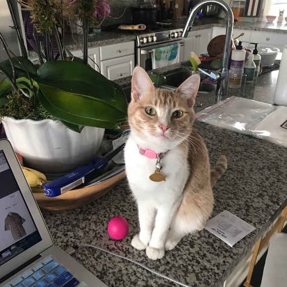 ✈️💖🛍 Kyle 🛍💖✈️ - Picture 8 of 8